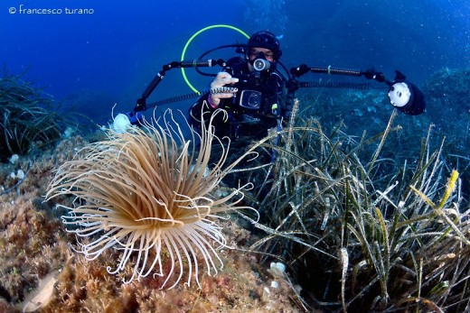 Immersioni Sicilia per 1 persona