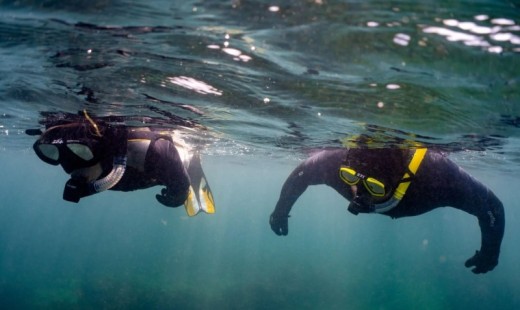 Try Scuba Diving in Galway