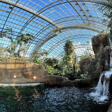 Visite du Parc Zoologique de Paris - 1 Enfant (3-12ans)