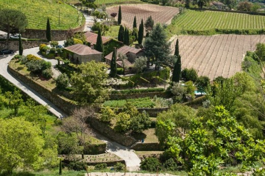 Visita Guiada à Quinta da Covela com prova de vinhos, picnic e jogos populares p/10 pessoas