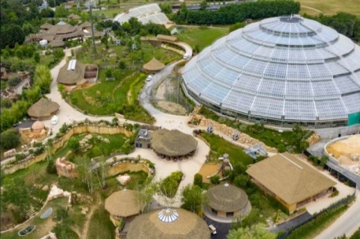 Visite du ZooParc de Beauval - Billet Enfant - (3-10)