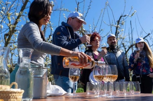 Mallorca: Exclusive Full-Day Winery Tour with Tastings – for Two