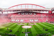 Pack SLB - Stade & Musée + une écharpe - Benfica, Lisbonne