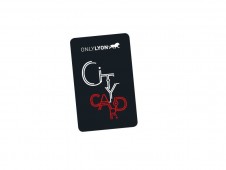 Lyon City Card (24 Hours)
