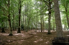 Soggiorno con escursione per 2 in tutta Italia