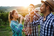 Romanian Wine Tasting Tour from Bucharest