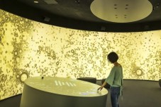 PRESSORIA : Voyage sensoriel au cœur du champagne - 1 Enfant (7-17 ans)