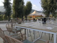 Cata de Vinos Premium con Visita a Bodega y Table de Quesos - 2 personas