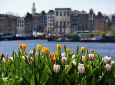 Amsterdam Open Boat Tour