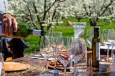 Mallorca: Exclusive Full-Day Winery Tour with Tastings – for Two