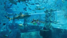Aquaventure Dubai and Lost Chambers combo