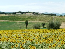 Soggiorno in Agriturismo con Cooking Class per due 