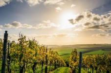 Degustazione vini in tutta Italia per 2