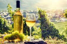 Romanian Wine Tasting Tour from Bucharest