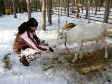 Snowmobile trip to reindeer farm in Lapland, for two