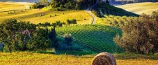Chianti Tour da Firenze