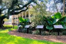 Swamp and Plantation Tour New Orleans