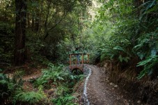 Skunk Train Pudding Creek Train Ride