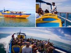 Safari de Golfinhos e Grutas no Algarve em Jet Boat