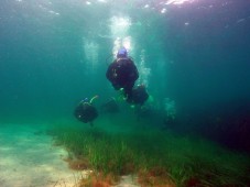 Scuba Diving PADI Course in Dublin