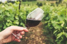 Tour di Gruppo in Bici & Degustazione in Basilicata 