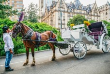 NYC: Private Central Park Horse Carriage Ride with Guide