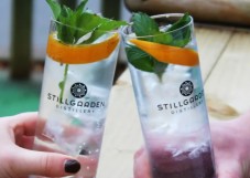 Gin School & Cocktail Class with Food in Dublin