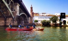 Seville cathedral and Giralda tower guided tour