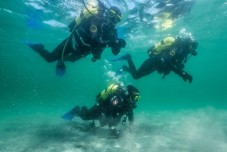 Try Scuba Diving in Galway