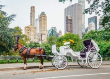 NYC: Private Central Park Horse Carriage Ride with Guide