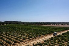 Almoço Vínico e Visita à Adega na Herdade de Coelheiros p/2