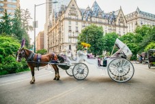 NYC: Private Central Park Horse Carriage Ride with Guide