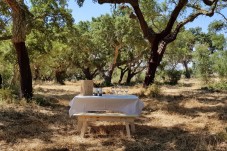 Almoço Vínico e Visita à Adega na Herdade de Coelheiros p/2