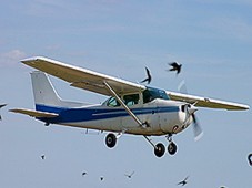 60-Minute Light Aircraft Trial Flight in Kent