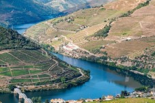 Croisière sur le fleuve Douro : Porto – Régua – Porto