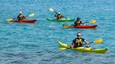 Half Day Kayaking Experience in Galway