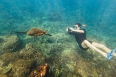 Maui Molokini and Turtle Town Snorkeling Tour