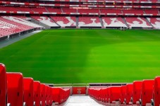 Pack SLB - Stade et Musée + Écharpes + Bon Gourmet - 2 pers.