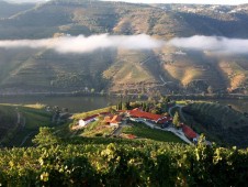Visite Premium de la Quinta Nova dans le Douro avec Déjeuner