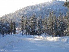 Snowmobile and Reindeer Safari Experience for Two in Lapland