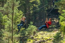 Durango: Scenic Train & Zipline Adventure