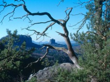 Geführte Wanderung in der Sächsischen Schweiz