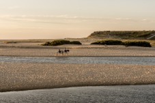 Balade à cheval en bord de mer à Setúbal pour 2