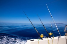 Pesca Embarcada no Algarve (3h)
