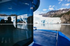 Kenai Fjords National Park Catamaran Cruise from Seward with Lunch